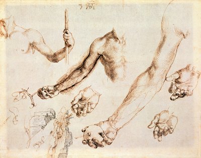 Studie van mannelijke handen en armen door Albrecht Dürer